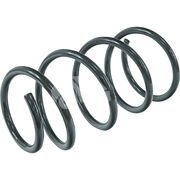 Пружина подвески XAS1184