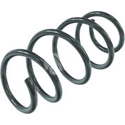 Пружина подвески XAS1172