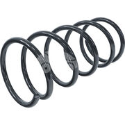 Пружина подвески XAS1025