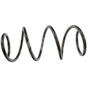 Пружина подвески XAS1098