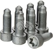 Болт маховика TZZ1030